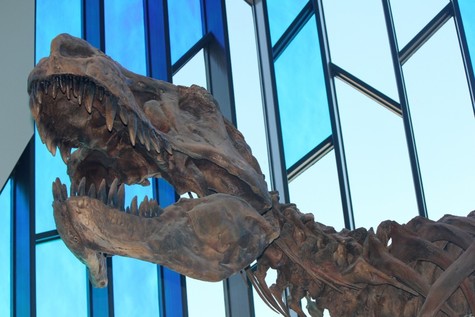 Prairiefire: A Mixed-Use Center Meets T.Rex