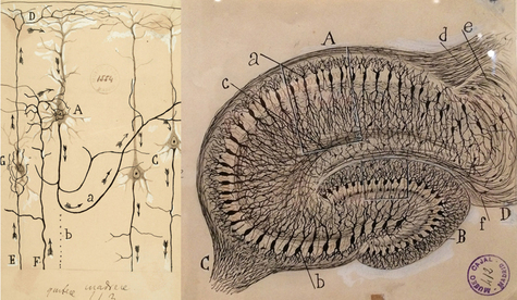 Memorable Places Part 2: The Science of Memory